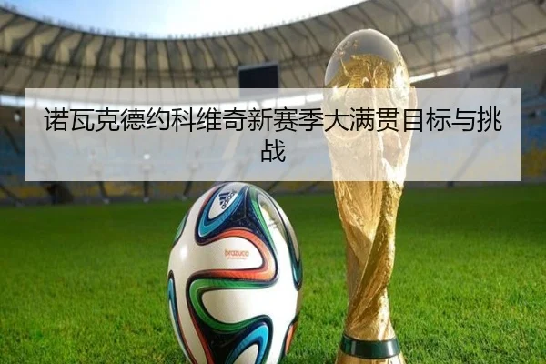 诺瓦克德约科维奇新赛季大满贯目标与挑战